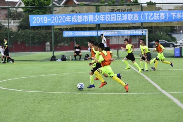 宁波果市新宠：青皮无花果已上市，快来尝鲜！